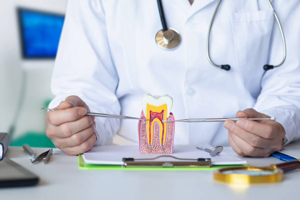 Best Pediatric Emergency Dentist in Cullman, AL
